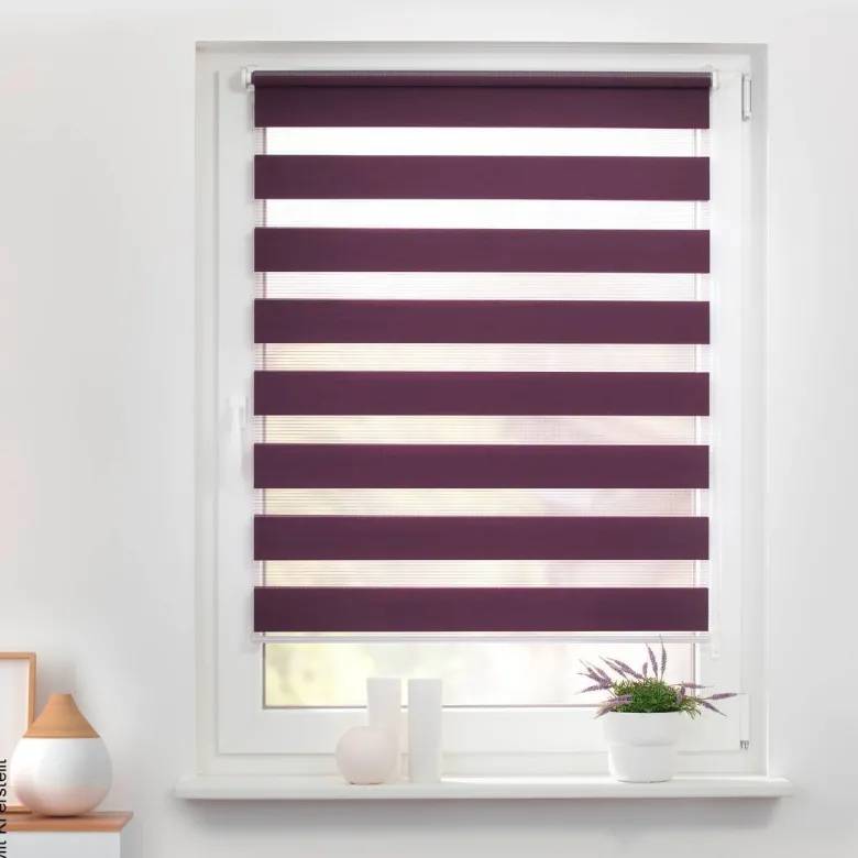 LICHTBLICK Doppelrollo Duo brombeer B/L: ca. 100x150 cm