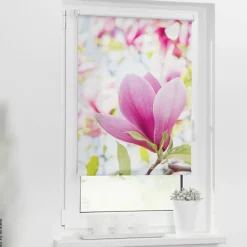 LICHTBLICK Rollo Magnolie rosa B/L: ca. 80x150 cm