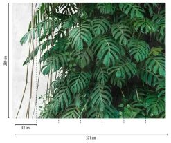 Livingwalls Fototapete Dschungel grün grau B/L: ca. 280x371 cm