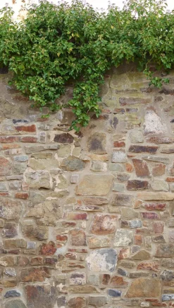 Livingwalls Fototapete Steinoptik beige grün braun B/L: ca. 280x159 cm