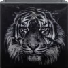 Motivbox Wildlife anthrazit B/H/T: ca. 32x32x32 cm