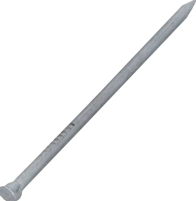 Nägel 100 tlg.