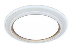 Nolo LED-Deckenleuchte Disc silber Kunststoff B/H/T: ca. 46x46x5 cm