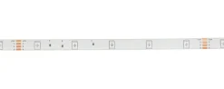 Nolo LED-Lichtband Robi L: ca. 300 cm