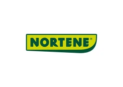 NORTENE Sichtschutz natur PVC B/H/L: ca. 300x8x90 cm