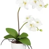Orchidee creme Kunststoff H/D: ca. 60x13 cm