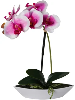 Orchidee weiß Kunststoff H: ca. 30 cm