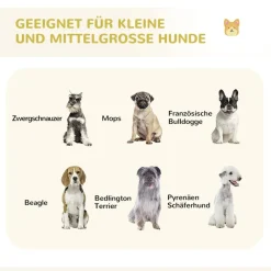 PawHut Gehege grau Edelstahl B/H/L: ca. 320x320x100 cm