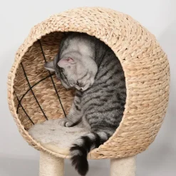 PawHut Kratzbaum beige Polypropylen B/H/L: ca. 40x48x100 cm