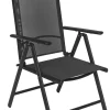 POCOline Klappsessel Malta anthrazit Alu B/H/L: ca. 66x106x56 cm