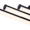 POCOline LED-Deckenleuchte Zehra schwarz Kunststoff B/H/L: ca. 10x5x44,5 cm