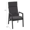 POCOline Stapelstuhl anthrazit Alu B/H/L: ca. 70x112x56 cm