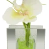 POCOline Vase klar Glas B/H/L: ca. 4x9x8,5 cm