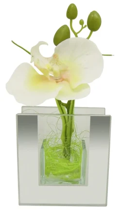 POCOline Vase klar Glas B/H/L: ca. 4x9x8,5 cm