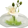 POCOline Vase klar Glas B/H/L: ca. 4,5x9,5x20 cm