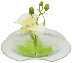 POCOline Vase klar Glas B/H/L: ca. 4,5x9,5x20 cm