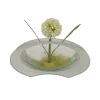 POCOline Vase klar Glas B/H/L: ca. 4,5x9,5x20 cm