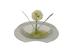 POCOline Vase klar Glas B/H/L: ca. 4,5x9,5x20 cm