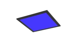 Reality LED-Deckenleuchte Beta schwarz Metall B/H/T: ca. 29,5x50x29,5 cm 1 Brennstellen