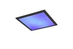 Reality LED-Deckenleuchte Beta schwarz Metall B/H/T: ca. 29,5x50x29,5 cm 1 Brennstellen