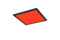 Reality LED-Deckenleuchte Beta schwarz Metall B/H/T: ca. 29,5x50x29,5 cm 1 Brennstellen