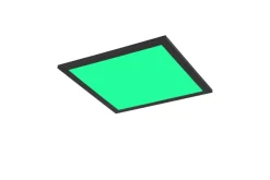 Reality LED-Deckenleuchte Beta schwarz Metall B/H/T: ca. 29,5x50x29,5 cm 1 Brennstellen