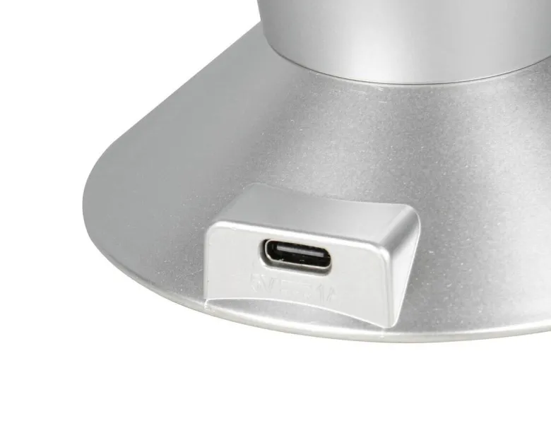 Reality LED-Tischleuchte Fame titanfarbig B/H: ca. 9x34,5 cm