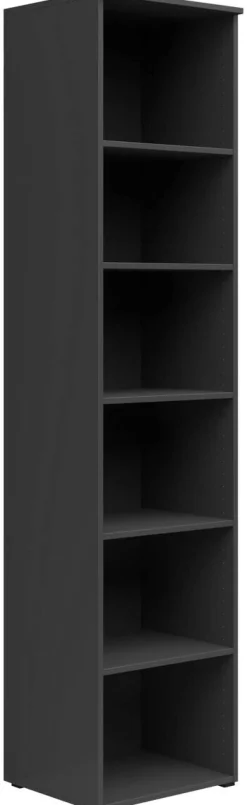 Regal Multi-Stauraum Typ 19 anthrazit B/H/T: ca. 45x195x40 cm