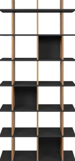 Regal Navas 20A Eiche Artisan Nachbildung anthrazit B/H/T: ca. 80x173x25 cm