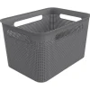 Rotho Aufbewahrungsbox anthrazit B/H/L: ca. 26x21x36 cm