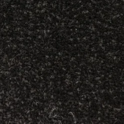 Schmutzfangmatte Alpha schwarz B/L: ca. 40x60 cm