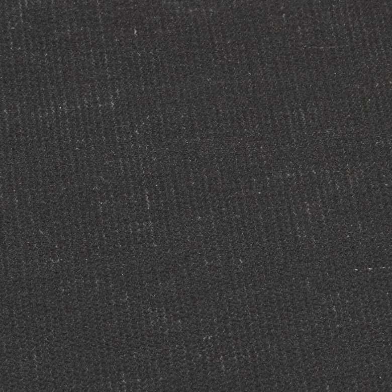 Schmutzfangmatte Emotion XS grau B/L: ca. 40x80 cm