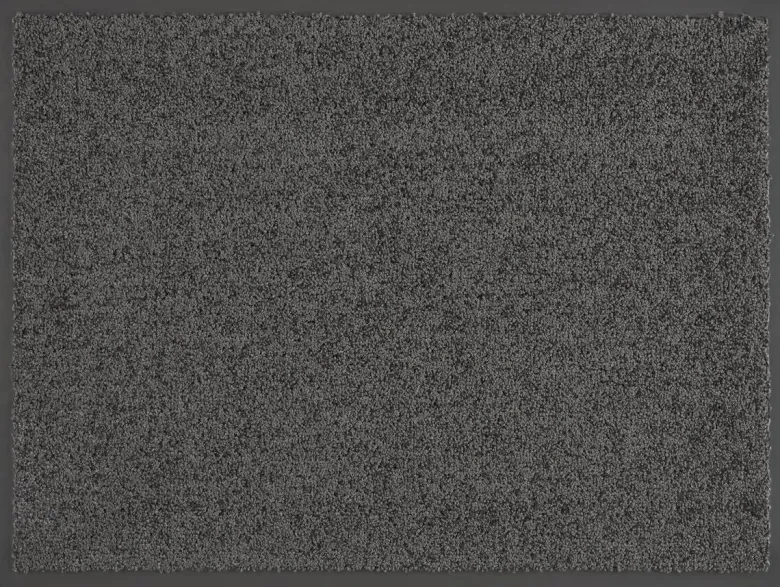 Schmutzfangmatte Future anthrazit B/L: ca. 40x60 cm