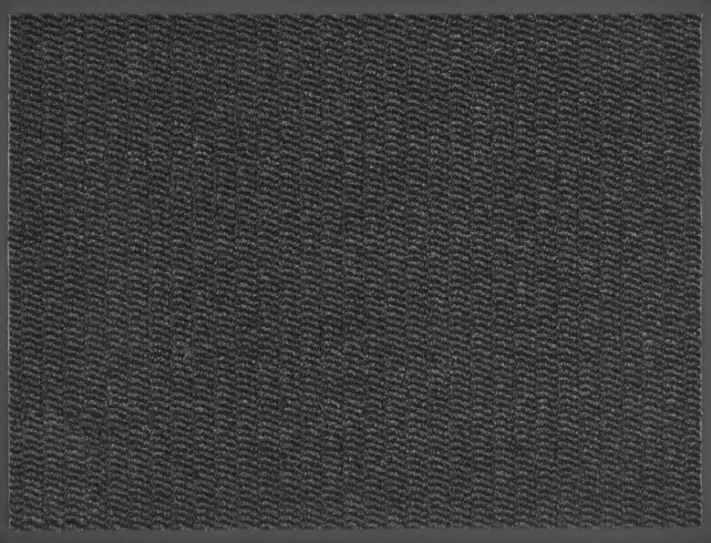 Schmutzfangmatte Spectrum anthrazit B/L: ca. 60x80 cm