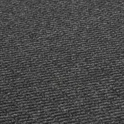 Schmutzfangmatte Spectrum anthrazit B/L: ca. 60x80 cm