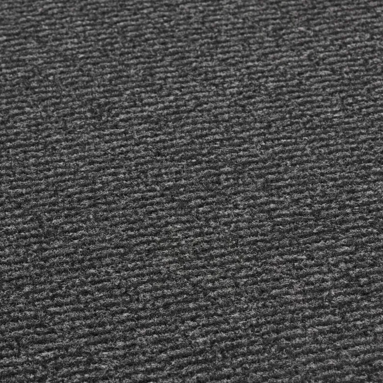 Schmutzfangmatte Spectrum anthrazit B/L: ca. 60x80 cm
