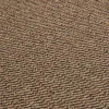 Schmutzfangmatte Spectrum braun B/L: ca. 40x60 cm