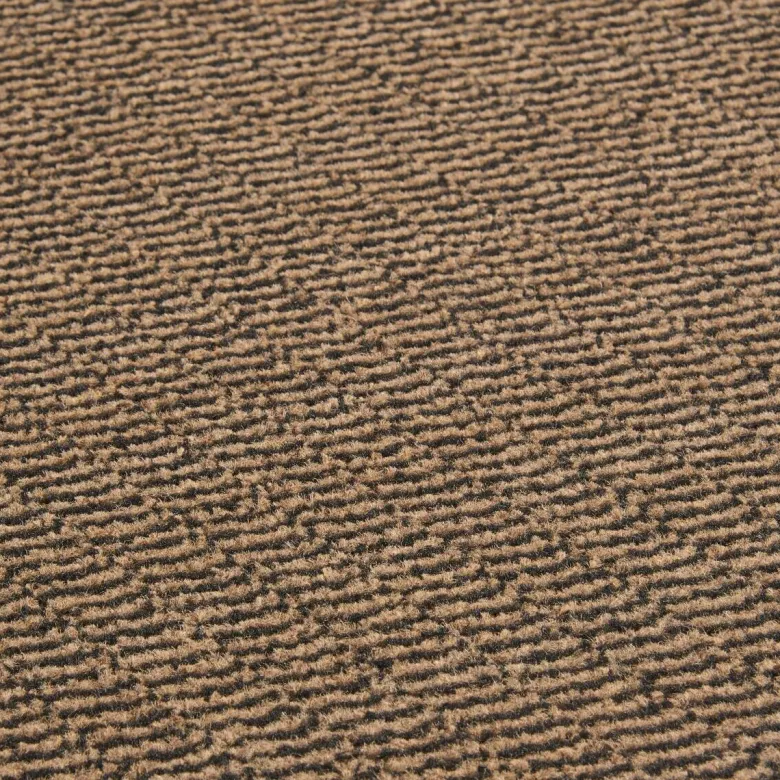 Schmutzfangmatte Spectrum braun B/L: ca. 40x60 cm