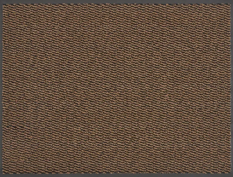 Schmutzfangmatte Spectrum braun B/L: ca. 40x60 cm