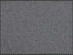 Schmutzfangmatte Spectrum grau B/L: ca. 40x60 cm