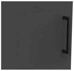 Schrank Multi-Stauraum Typ 20 anthrazit B/H/T: ca. 45x195x40 cm