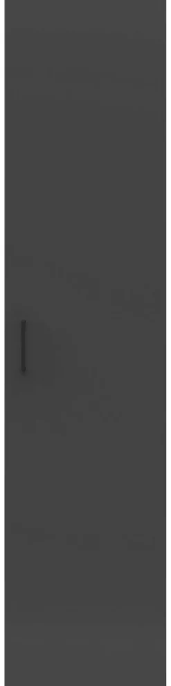 Schrank Multi-Stauraum Typ 20 anthrazit B/H/T: ca. 45x195x40 cm