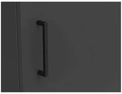 Schrank Multi-Stauraum Typ 20 anthrazit B/H/T: ca. 45x195x40 cm