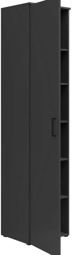 Schrank Multi-Stauraum Typ 20 anthrazit B/H/T: ca. 45x195x40 cm