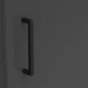 Schrank Multi-Stauraum Typ 12 anthrazit B/H/T: ca. 45x83x40 cm