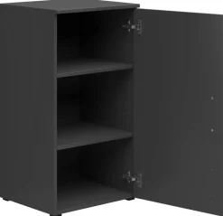 Schrank Multi-Stauraum Typ 12 anthrazit B/H/T: ca. 45x83x40 cm