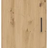 Schrank Multi-Stauraum Typ 20 Eiche Artisan Nachbildung B/H/T: ca. 45x195x40 cm