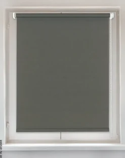 Sensation Klemmrollo Champion grau B/L: ca. 45x150 cm
