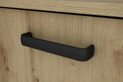 Sideboard FARO Eiche schwarz B/H/T: ca. 140x84x40 cm
