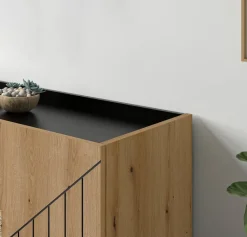 Sideboard Neo Evoke Oak Nachbildung schwarz B/H/T: ca. 120x81x40 cm